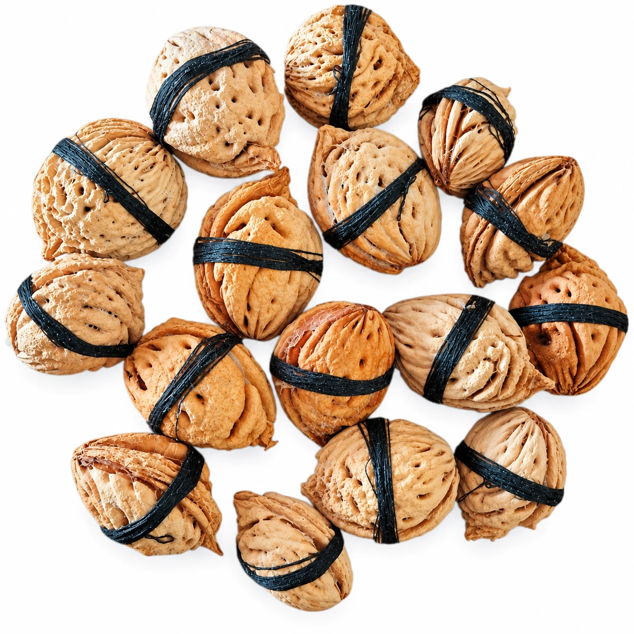 Top view of assorted natural dried seed pods bundled with black ties on a white background