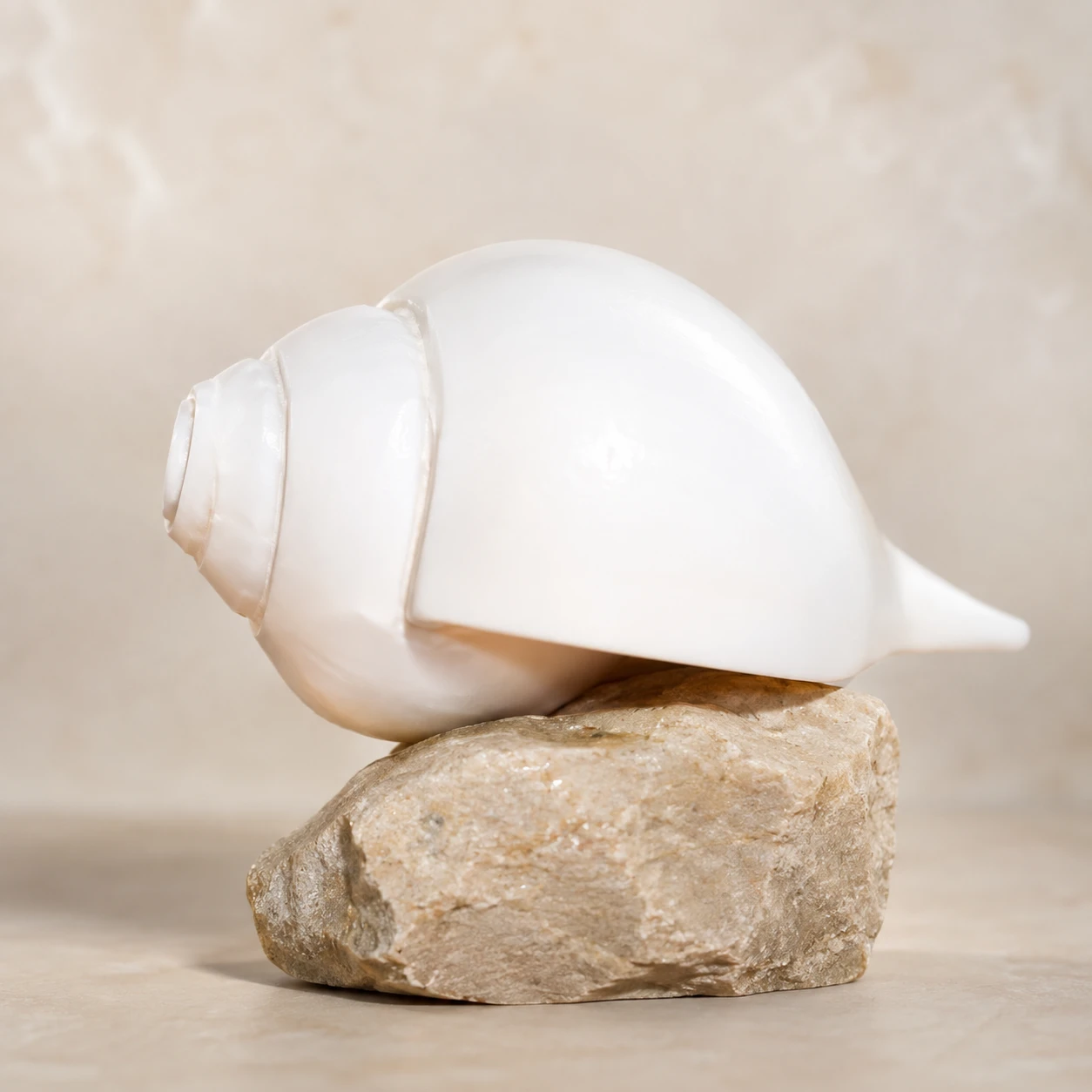 Close-up of the white conch-shaped decor resting on a rough stone base against a plain backdrop