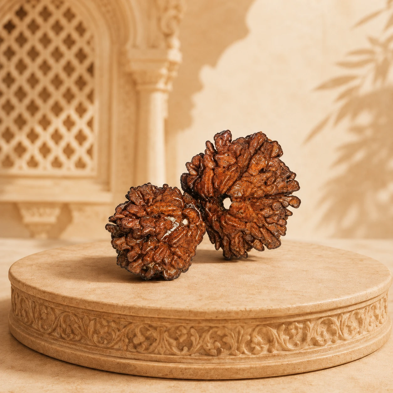 Close front view of the textured rudraksha bead pair showing natural grooves and central openings