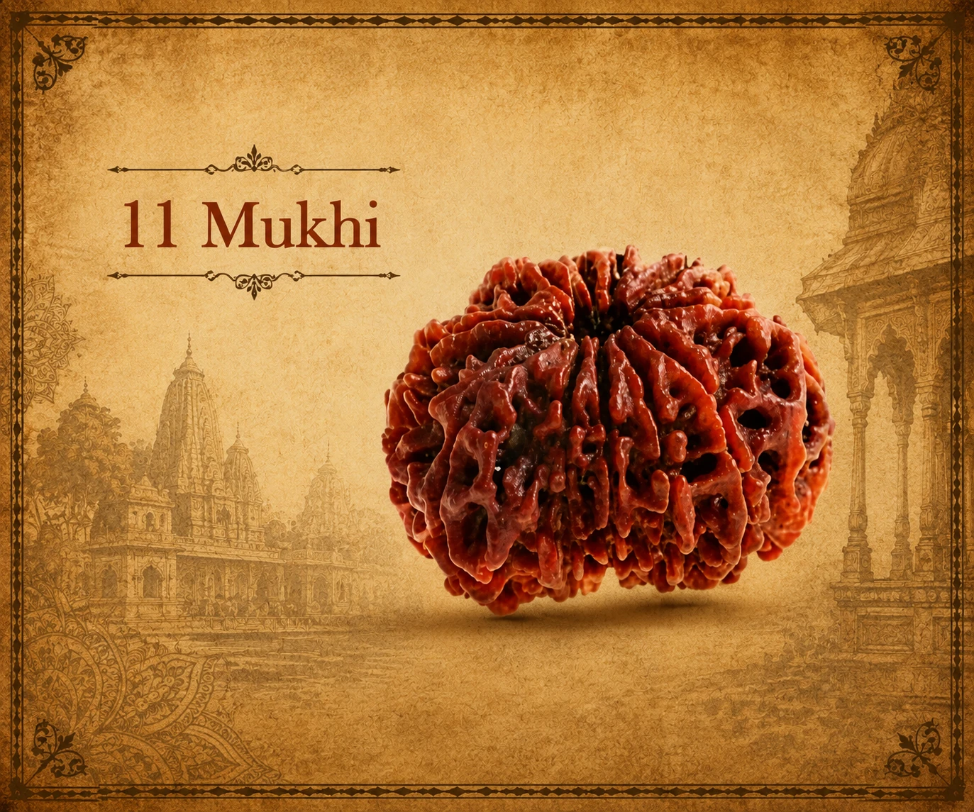 Single 11 Mukhi rudraksha bead on a vintage temple-style beige background with decorative border
