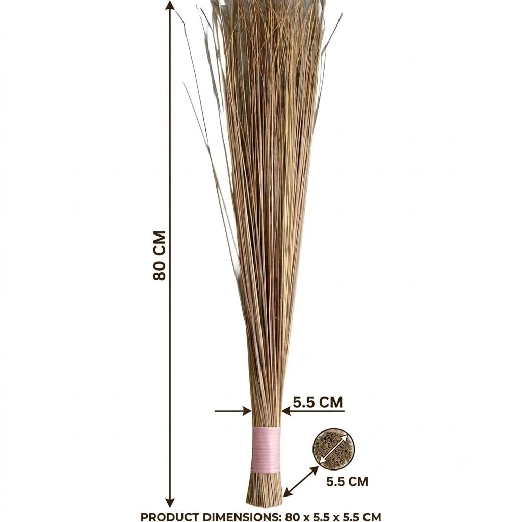 iINTELLIGENCEi Coconut Broom Sticks, 2 Qty view 3