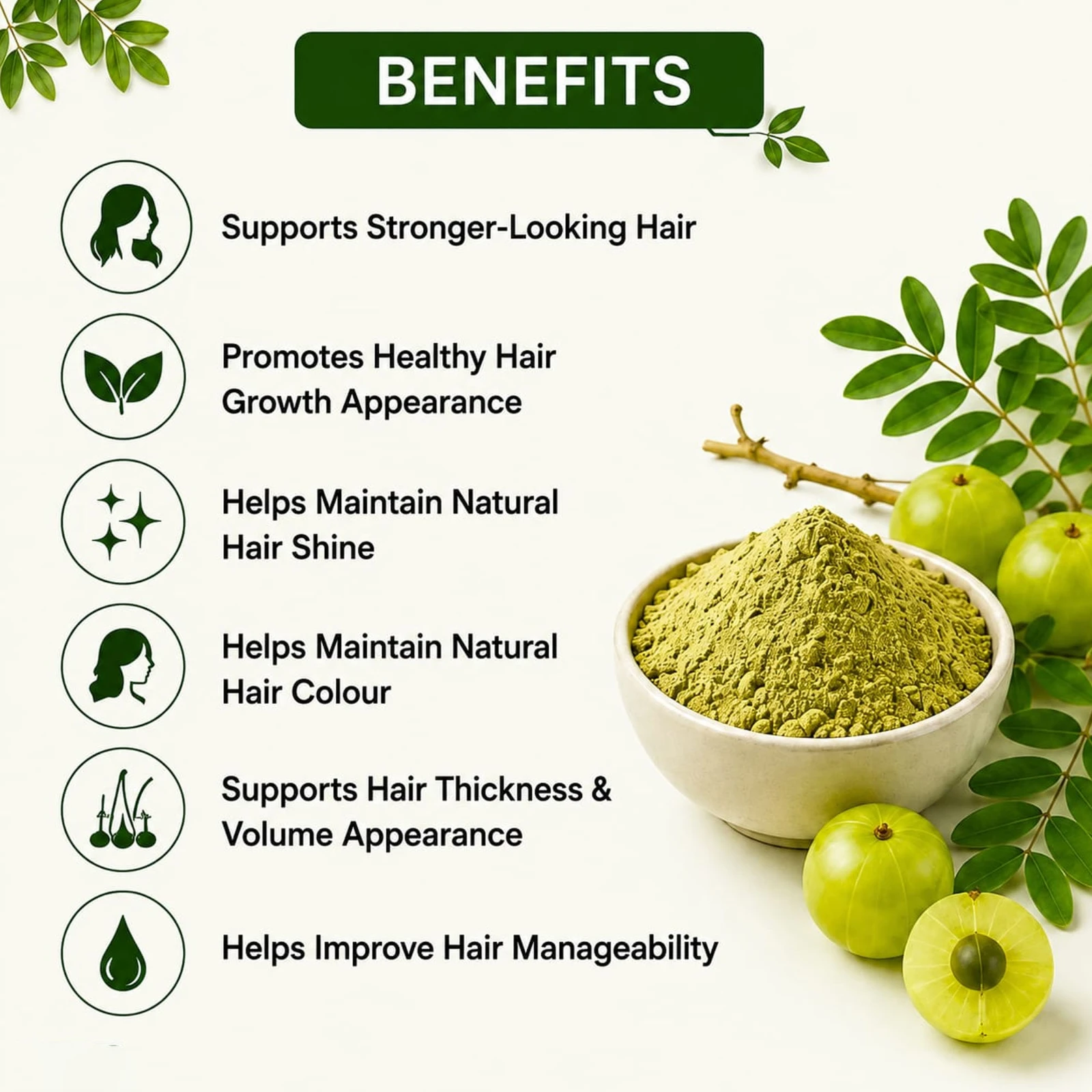Krishak Organic Dehydrated Amla Powder Pack of 2 view 3