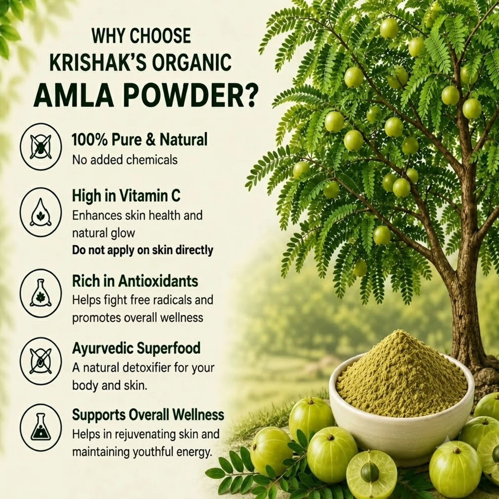 Krishak Organic Dehydrated Amla Powder Pack of 2 view 5