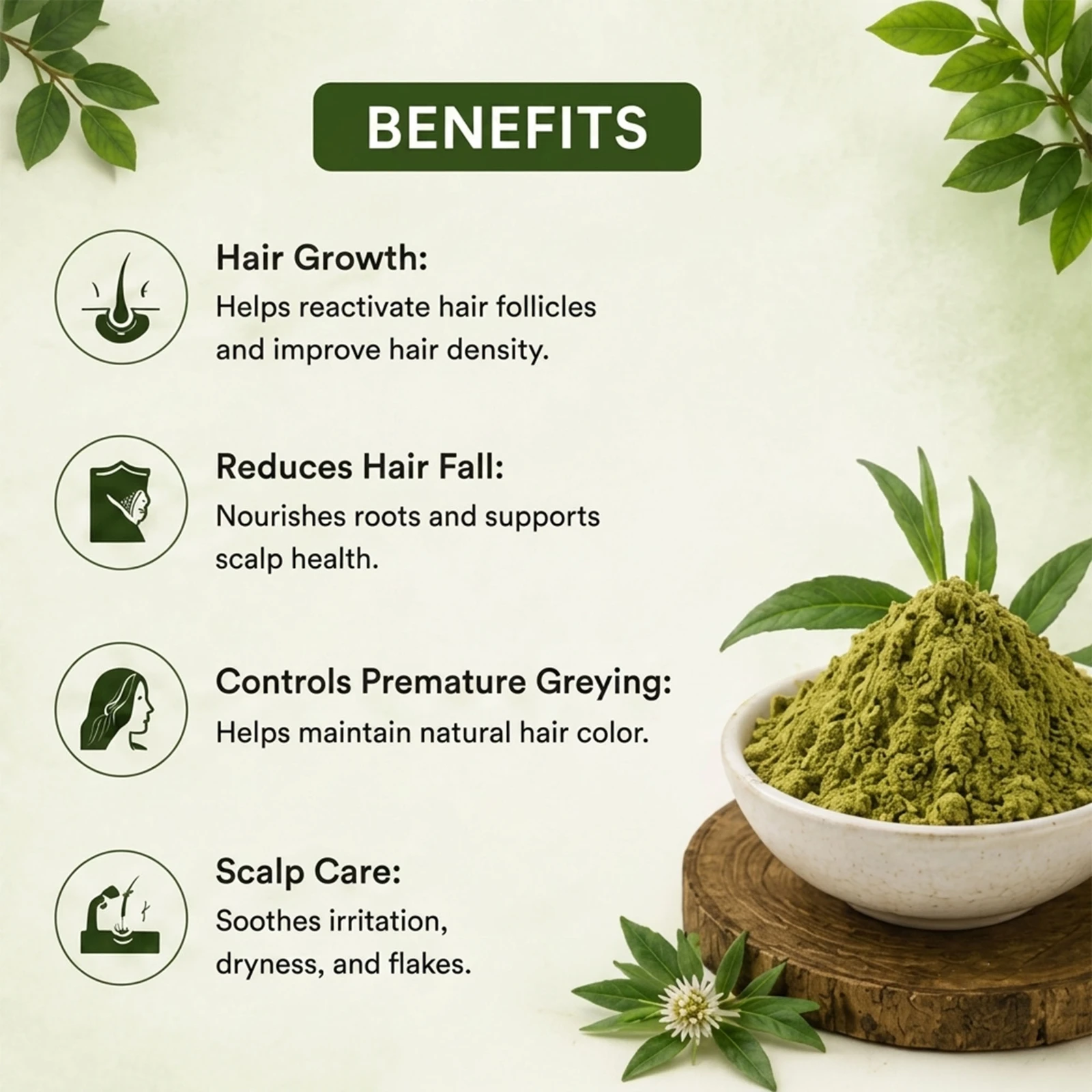 Krishak Organic Bhringraj Powder Pack of 2 view 6