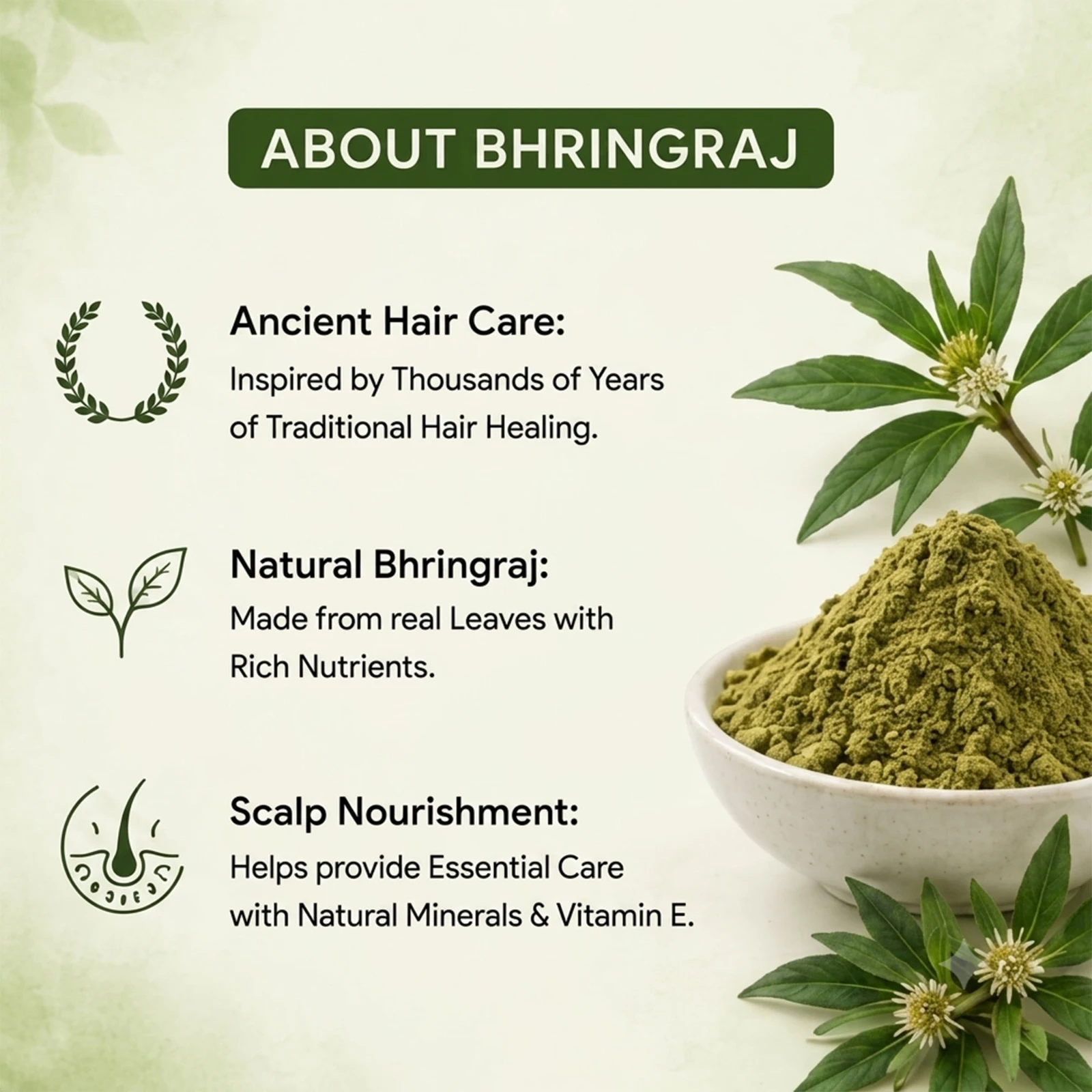 Krishak Organic Bhringraj Powder view 5