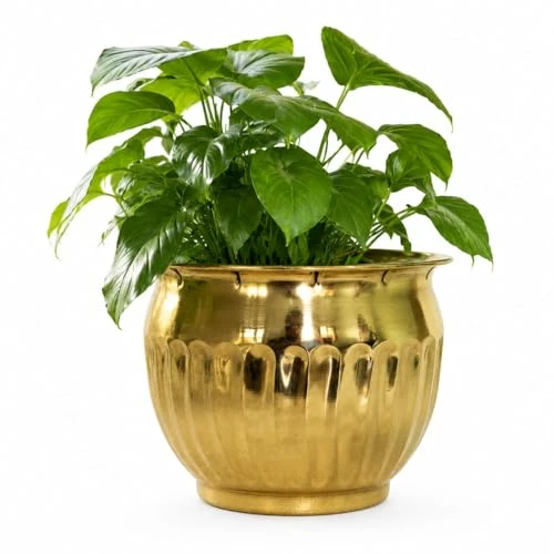 Craft Brio Pure Brass Planter Pot for Indoor Plants – 9 Inch Decorative Metal Flower Pot with Natural Brass Finish, Vintage Handcrafted Planter for Home Decor, Living Room, Balcony view 2