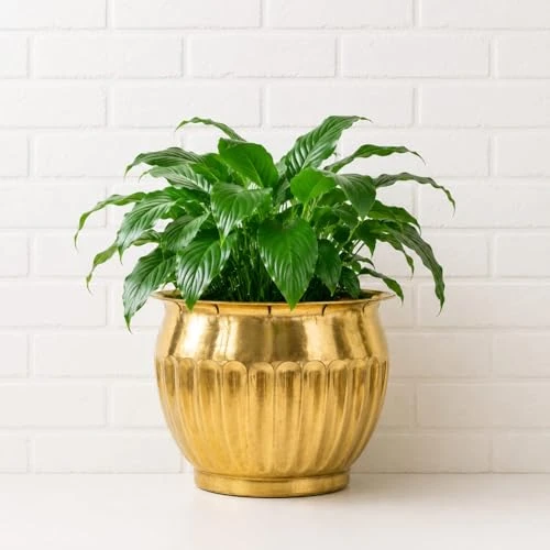 Craft Brio Pure Brass Planter Pot for Indoor Plants – 9 Inch Decorative Metal Flower Pot with Natural Brass Finish, Vintage Handcrafted Planter for Home Decor, Living Room, Balcony view 3