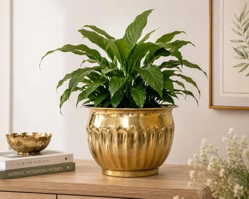 Craft Brio Pure Brass Planter Pot for Indoor Plants – 9 Inch Decorative Metal Flower Pot with Natural Brass Finish, Vintage Handcrafted Planter for Home Decor, Living Room, Balcony view 4