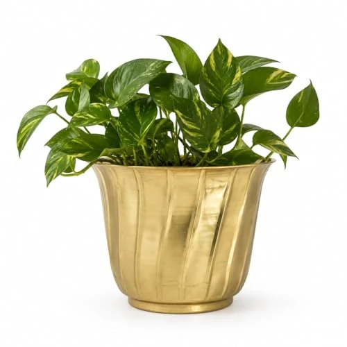 Craft Brio Pure Brass Planter Pot for Indoor Plants | 21 cm Decorative Metal Flower Pot | Handmade Brass Planter for Balcony, Living Room & Home Décor | 17 cm Height view 2