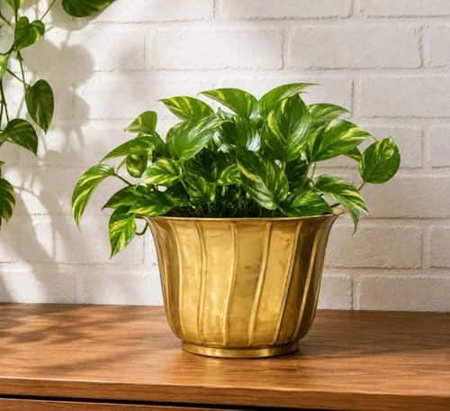 Craft Brio Pure Brass Planter Pot for Indoor Plants | 21 cm Decorative Metal Flower Pot | Handmade Brass Planter for Balcony, Living Room & Home Décor | 17 cm Height view 6