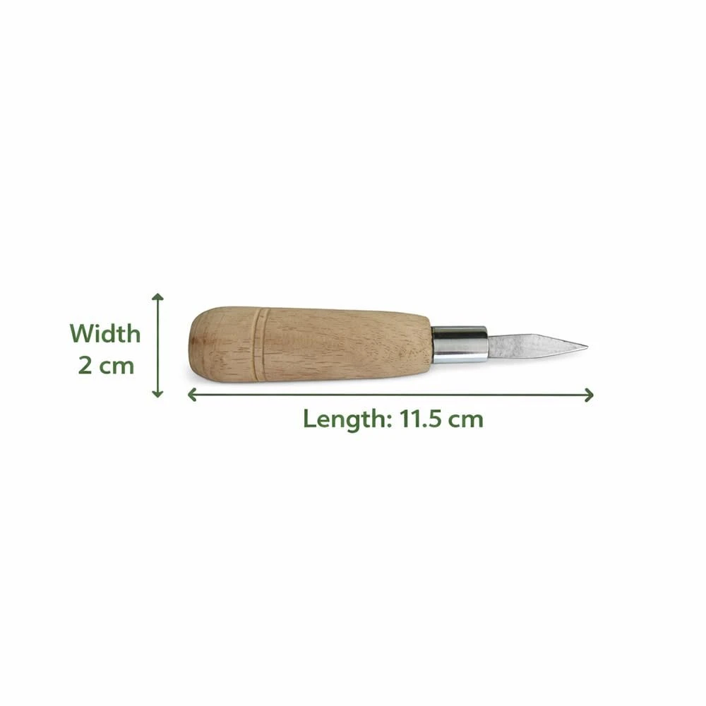 iINTELLIGENCEi Tamarind Seed Remover Kitchen Tool, 12x2x2 cm, 2 Qty view 3