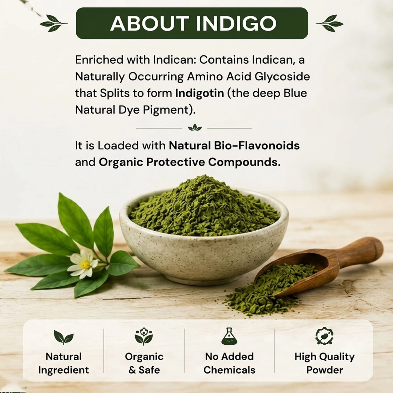 About Indigo infographic with indigo powder bowl, scoop, and text on indican and natural compounds