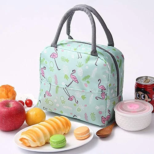 Design Studio - Insulated Lunch Bag for Office Men, Women and Kids, Canvas Tiffin Bag for School, Picnic, Work, Carry Bag for Lunch Box (Multi-Print)(Assorted Colours) view 2
