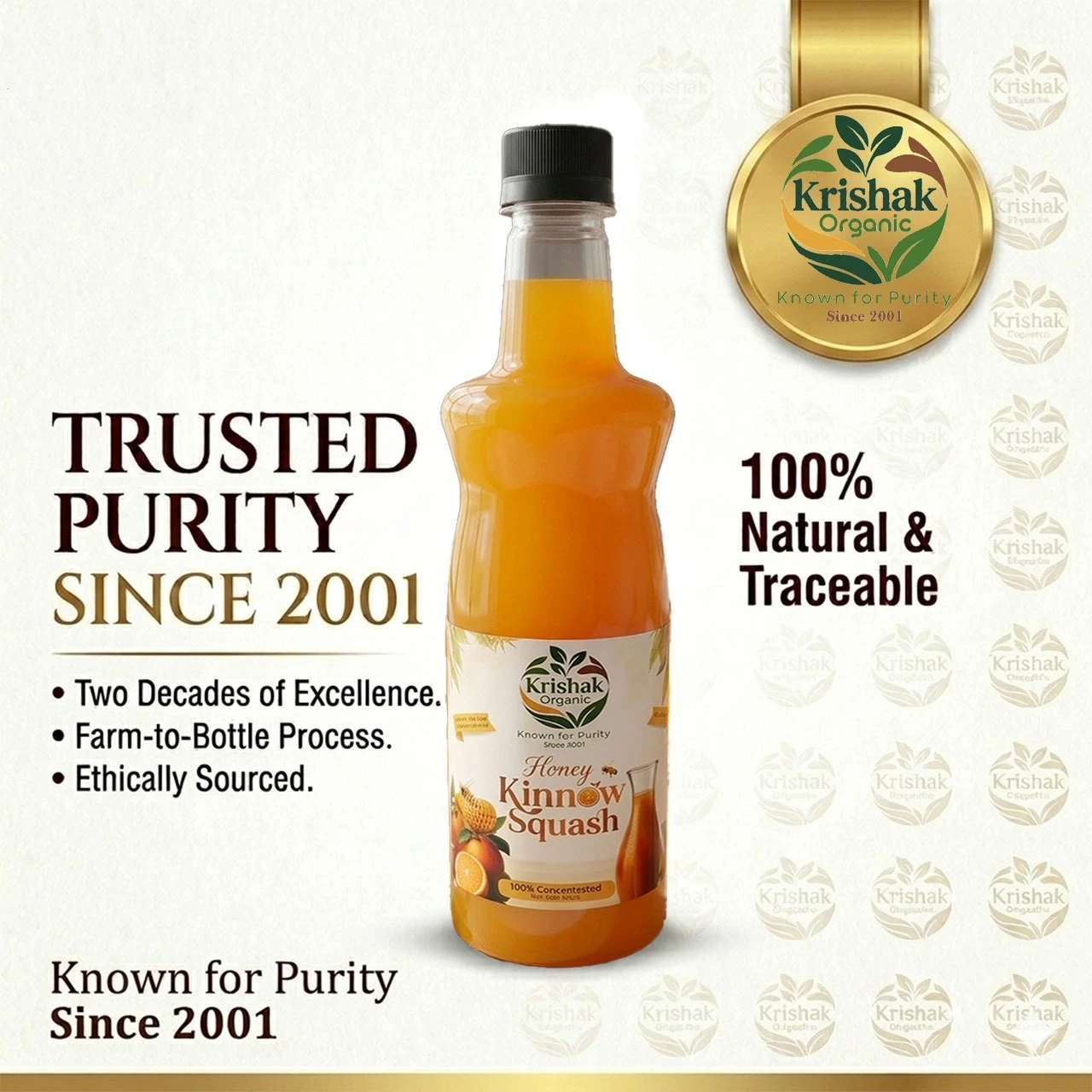 Orange Flavour Kinnow Squash view 3