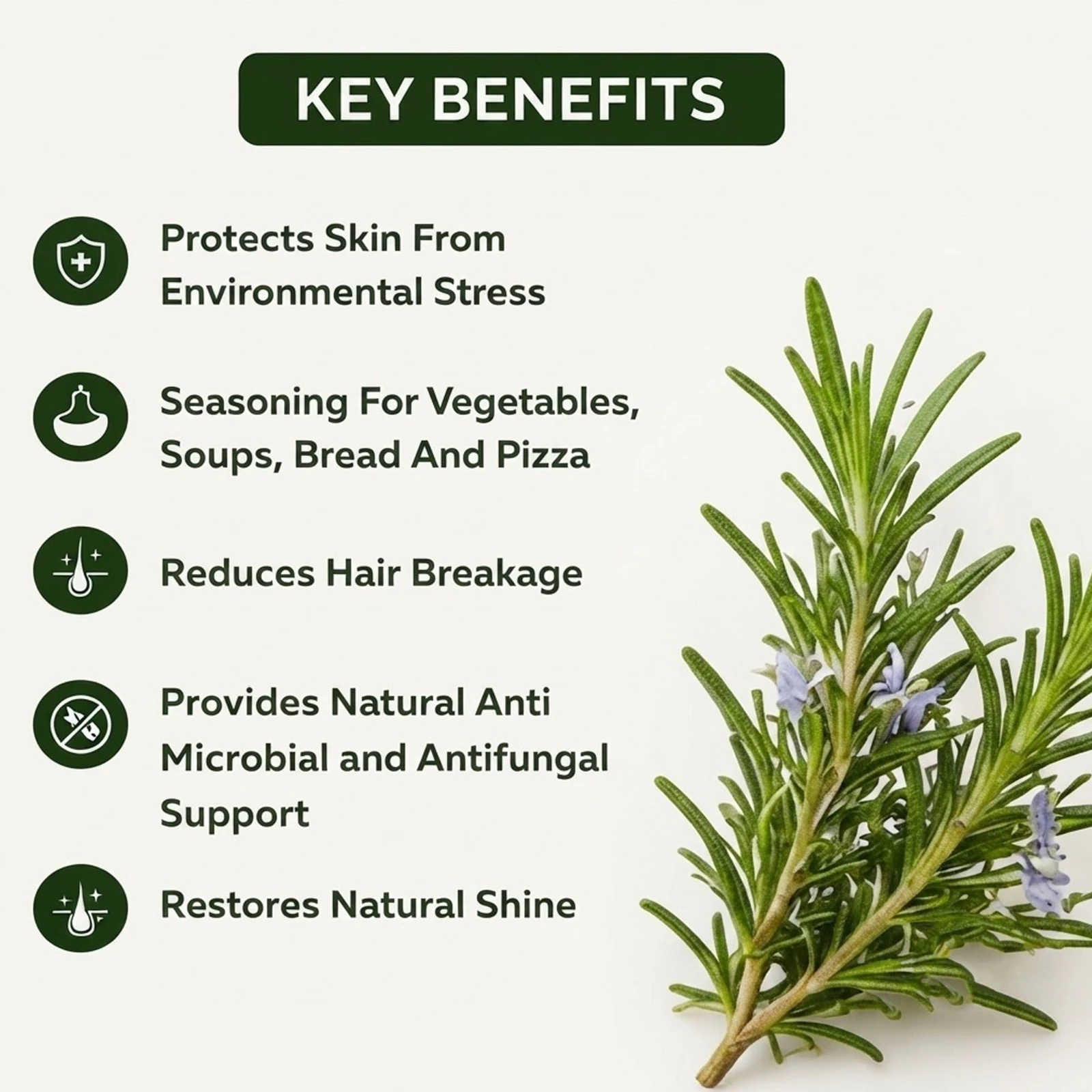 Krishak Organic Dehydrated Rosemary Leaf Pack of 2 view 4