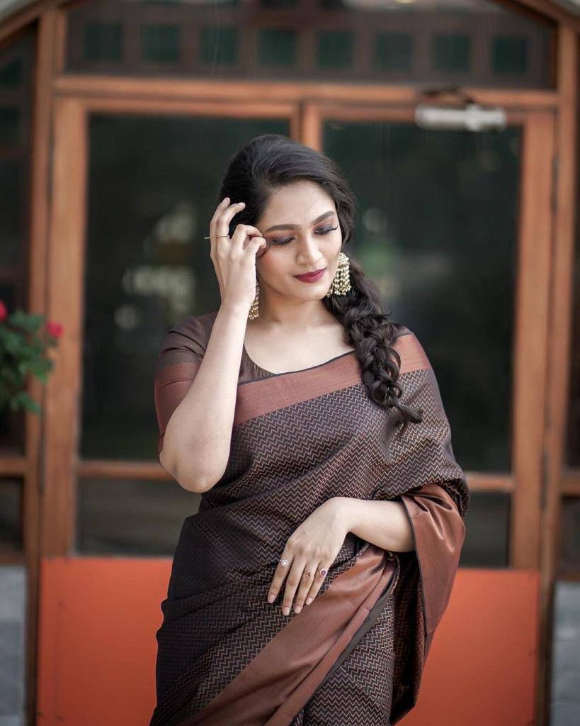 Women's Brown Zigzag Pattern Saree